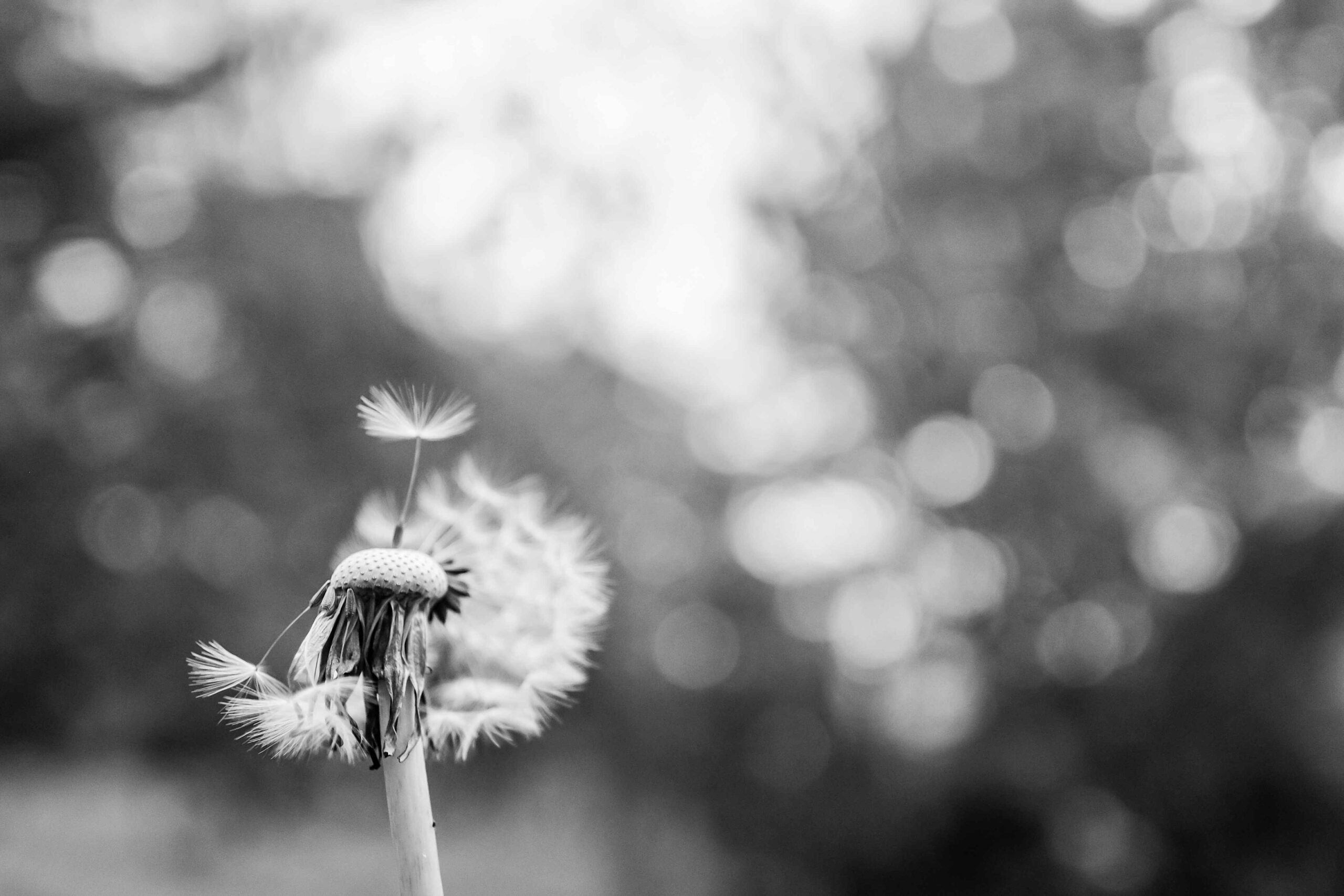 Photo by Ýlona María Rybka on Unsplash